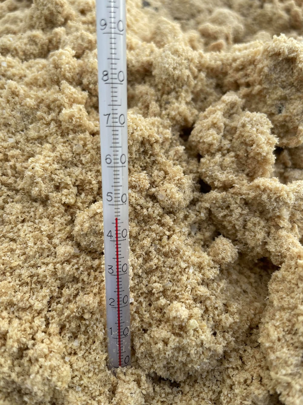 米ぬか発酵温度40度超え！