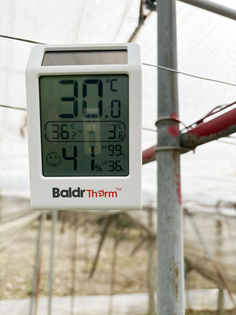 ハウス内の温度計(晴天時の日中)